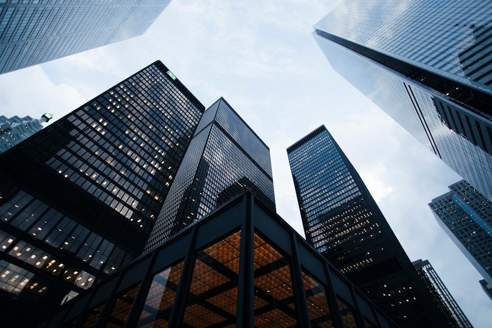 Investment Consultancy